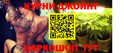 скорость Гатчина
