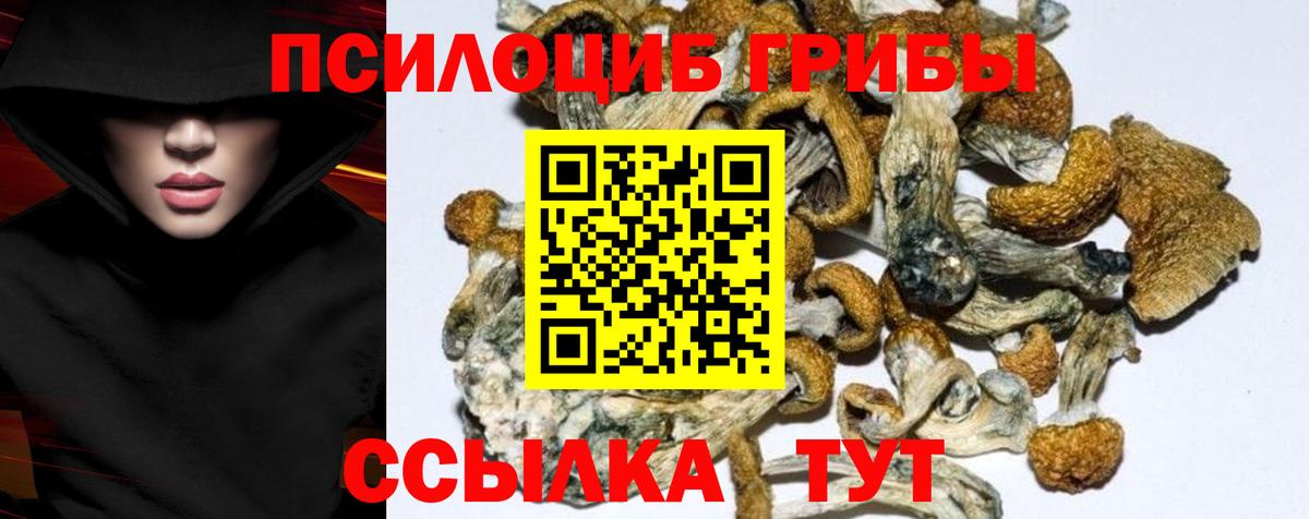 Галлюциногенные грибы Magic Shrooms Междуреченск
