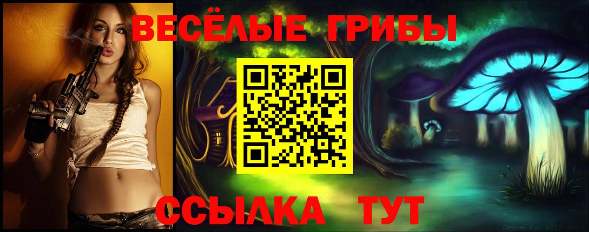 Междуреченск  Псилоцибиновые грибы ЛСД  Вход с VPN 